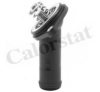 CALORSTAT by Vernet TH7230.92J Thermostat, coolant